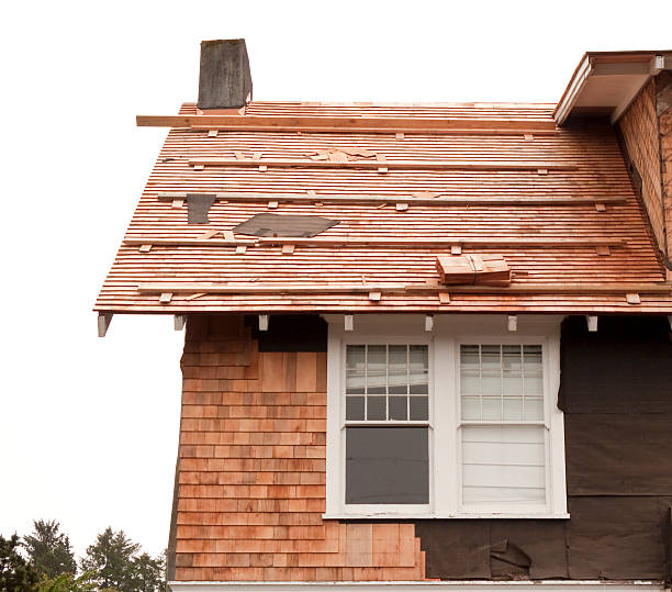 Best Siding Replacement  in Brookside, NJ